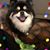 Susan Bowman Foster's profile image