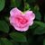 Teresa Gilbert's profile image