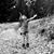 Ayesha Hutchison's profile image