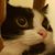 Chris Ankney's profile image