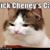 Janet Rew Hanson's profile image
