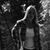 Kar Raquel's profile image