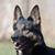 Lindsay Chlopek's profile image
