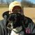 Deborah Heine's profile image