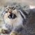 Kenndrea Wolka's profile image