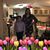 Paola Tellez Pedraza's profile image