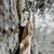 Melissa Anne Duyette's profile image