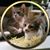 Donna Malcom's profile image