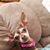 DaWanna Williams's profile image