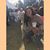 Gladys Werle's profile image