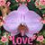 Betzabet Lopez's profile image