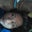 Jokie Tolentino's profile image