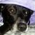 Sally Ann's profile image