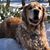 Cathy Tucker Reddington's profile image