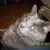 Cindy Garmer's profile image