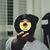 Archie DubsOne Carino's profile image