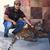 Jaziel Jr Lopez's profile image