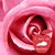 Ronda Fields's profile image