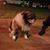 Shelley Roider-culpepper's profile image