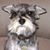 Timothy Blaske's profile image