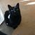 Teri Klotz's profile image
