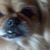 Mac Bell's profile image