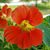 Yvonne Aliagasmith's profile image