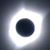 Dave Goodman's profile image