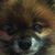 Joan Beam Weber's profile image