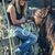 Melissa Caplan Austin's profile image