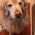 Kimberly Bell Harriss's profile image