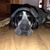 Mark Mcbroom's profile image