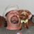 Jeff Chapman's profile image