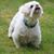 Oliver Rainier's profile image