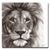 Tim Phillips's profile image