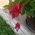 Sheryl Price Sparkman's profile image