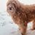 Estela McClean's profile image