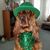 Cathy Hardy's profile image