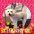 Steve Hulsey's profile image
