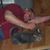 Earl Underwood's profile image