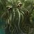 Steven Osborn's profile image