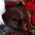 Harlow Rioux-Monroe's profile image