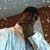 James Carter's profile image