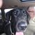 Marge Janiak's profile image
