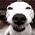 Shallen Hebert's profile image