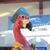 Bruce EricHsen Sr.'s profile image