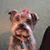 Kay Pixley's profile image