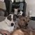 Vicky Jo Byrd Barrow's profile image
