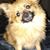 Yvette Contreras's profile image