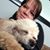 Carrie Love's profile image